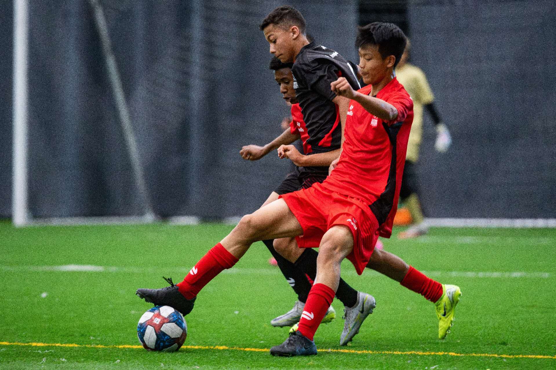 Official Player Portrait - 2025